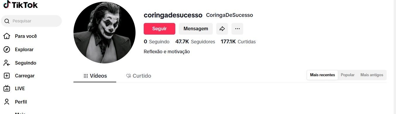 PERFIL TIKTOK MOTIVACIONAL: CORINGA DE SUCESSO COM 47 MIL SEGUIDORES