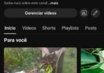 CANAL NO YOUTUBE DE PLANTAS | MONETIZADO | PÚBLICO ENGAJADO