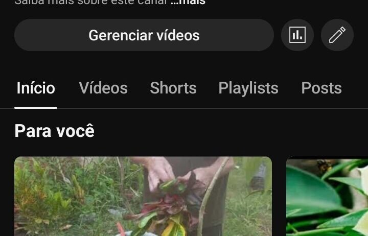 CANAL NO YOUTUBE DE PLANTAS | MONETIZADO | PÚBLICO ENGAJADO