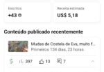 CANAL NO YOUTUBE DE PLANTAS | MONETIZADO | PÚBLICO ENGAJADO