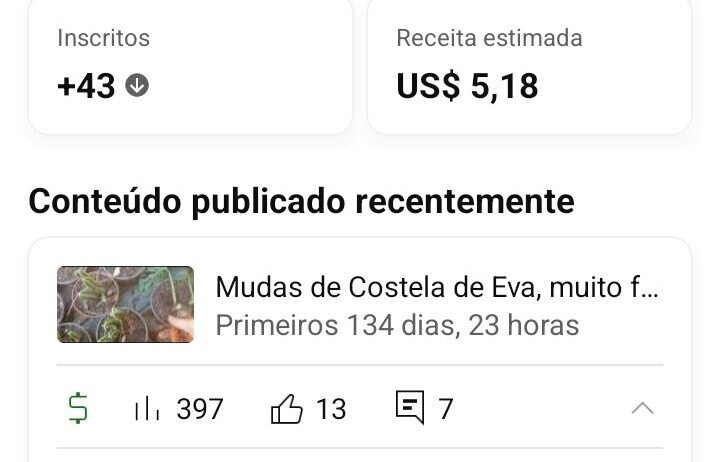 CANAL NO YOUTUBE DE PLANTAS | MONETIZADO | PÚBLICO ENGAJADO