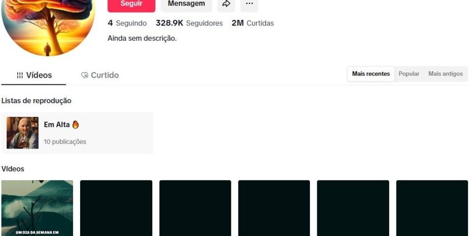 CONTA DE TIKTOK À VENDA | 328,9 MIL SEGUIDORES | ALTO ENGAJAMENTO