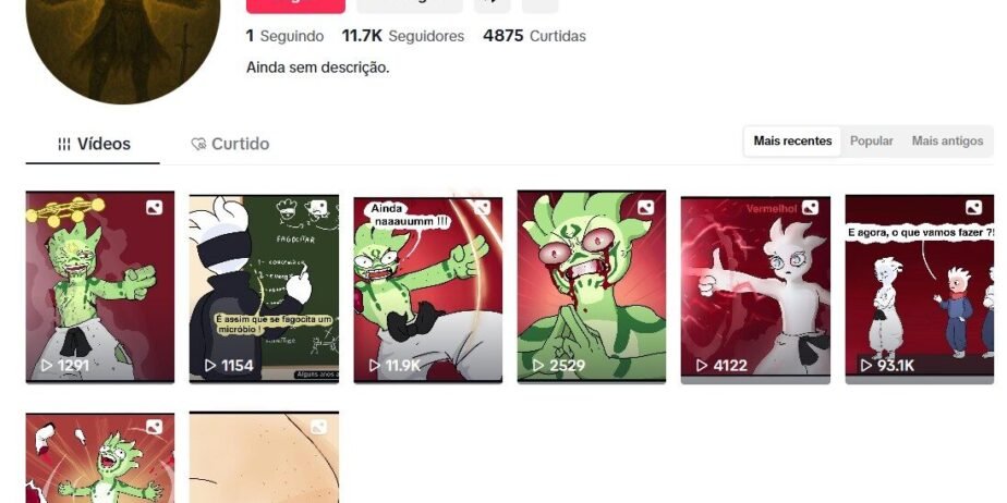 CONTA DE TIKTOK À VENDA COM 11 MIL SEGUIDORES