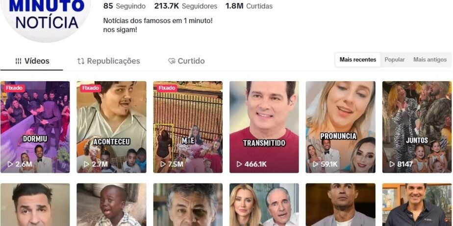 CONTA DE TIKTOK À VENDA COM 213 MIL SEGUIDORES