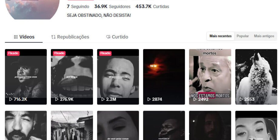 CONTA DE TIKTOK À VENDA COM 36 MIL SEGUIDORES