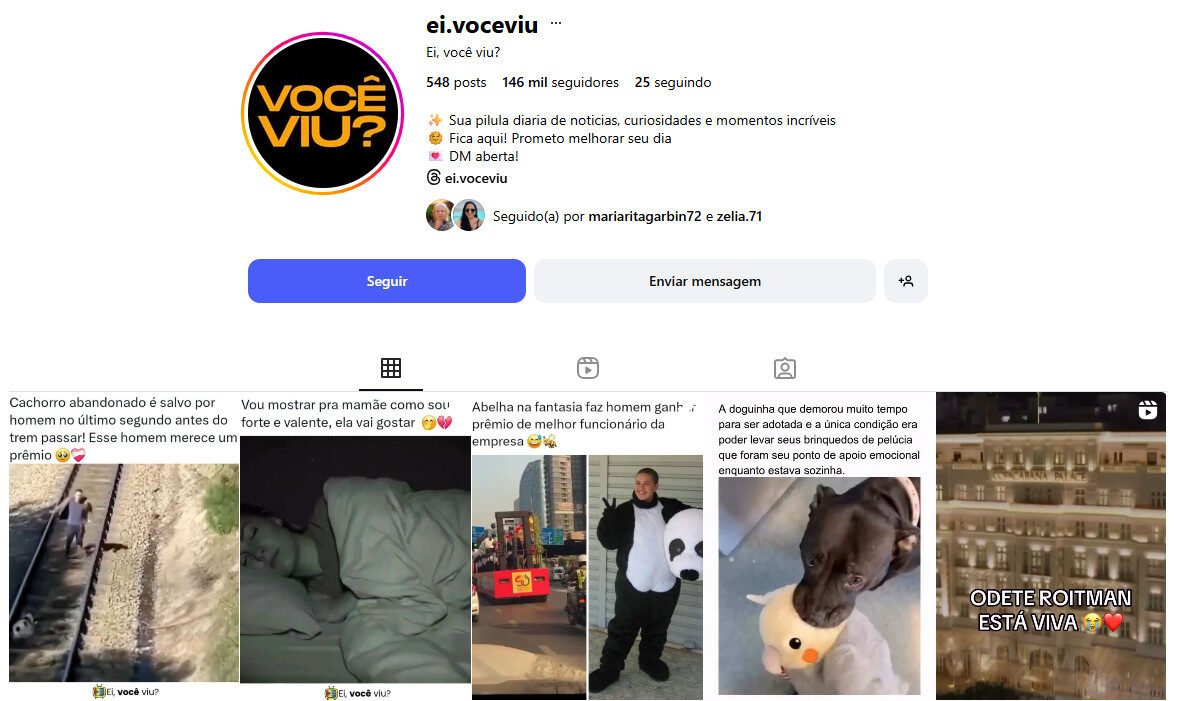 Conta no instagram 146 mil seguidores notícias e curiosidades diárias