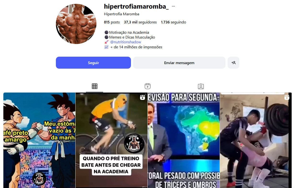 Instagram hipertrofia musculação dicas e memes 37 mil seguidores
