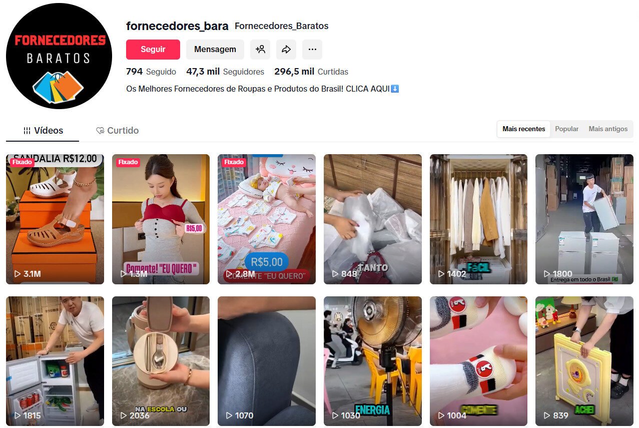 Perfil no tiktok – Fornecedores Baratos 47 mil seguidores