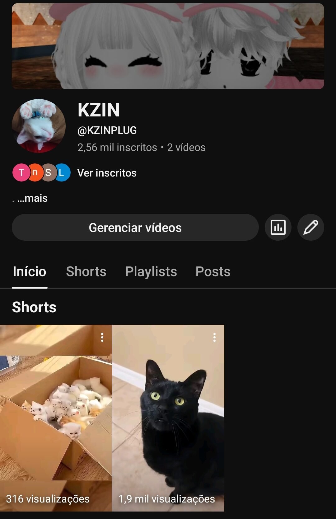 Tem dois vídeos de no shorts sobre gatos