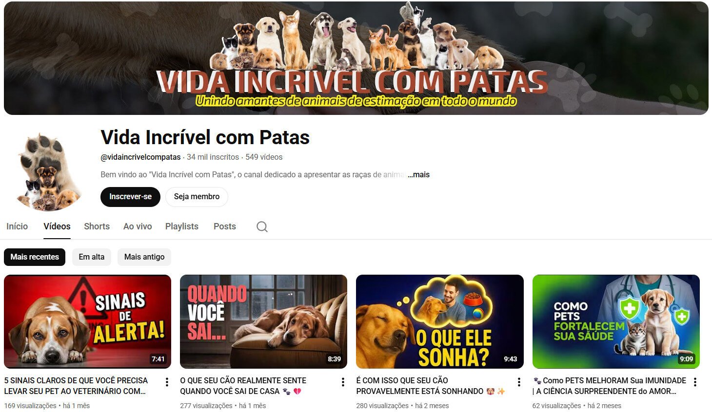 Vida Incrível com Patas (Nicho Pet e Bem-Estar) | 34 mil inscritos Youtube