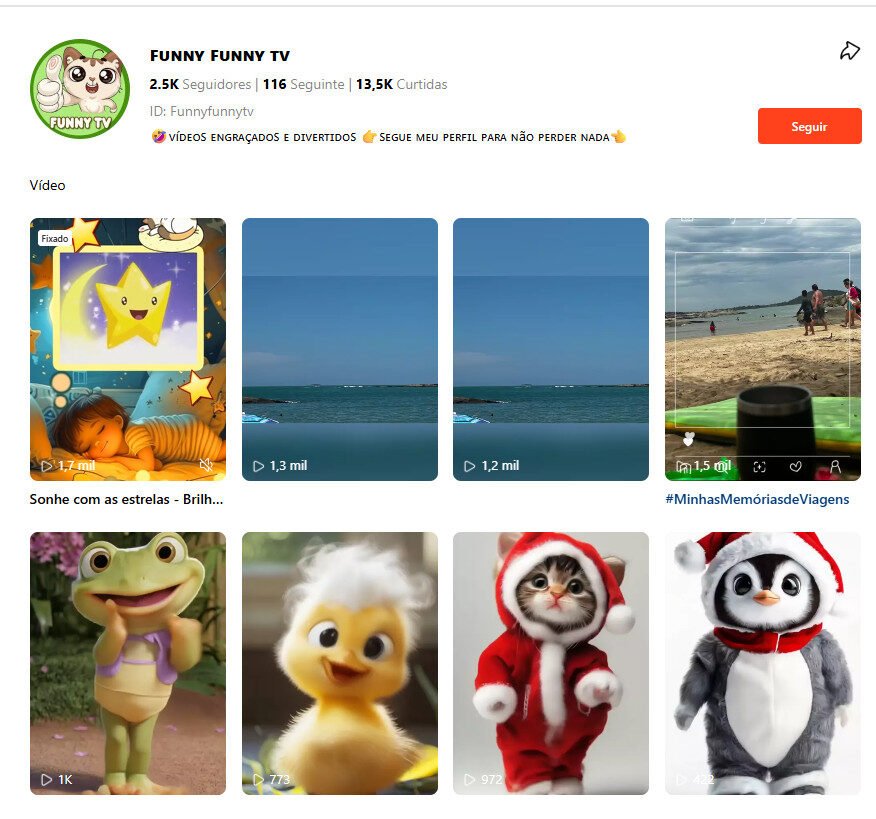 Perfil Kwai FUNNY FUNNY TV (Entretenimento Infantil/Familiar) | 2K seguidores