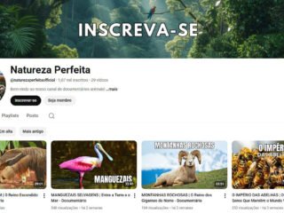 Captura-de-tela-2025-11-06-151438