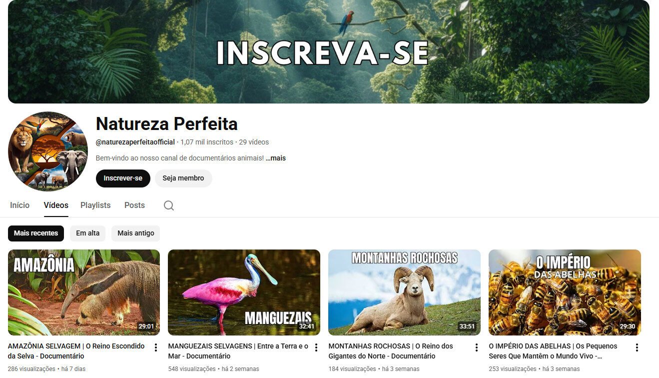 Canal no YouTube – Natureza Perfeita