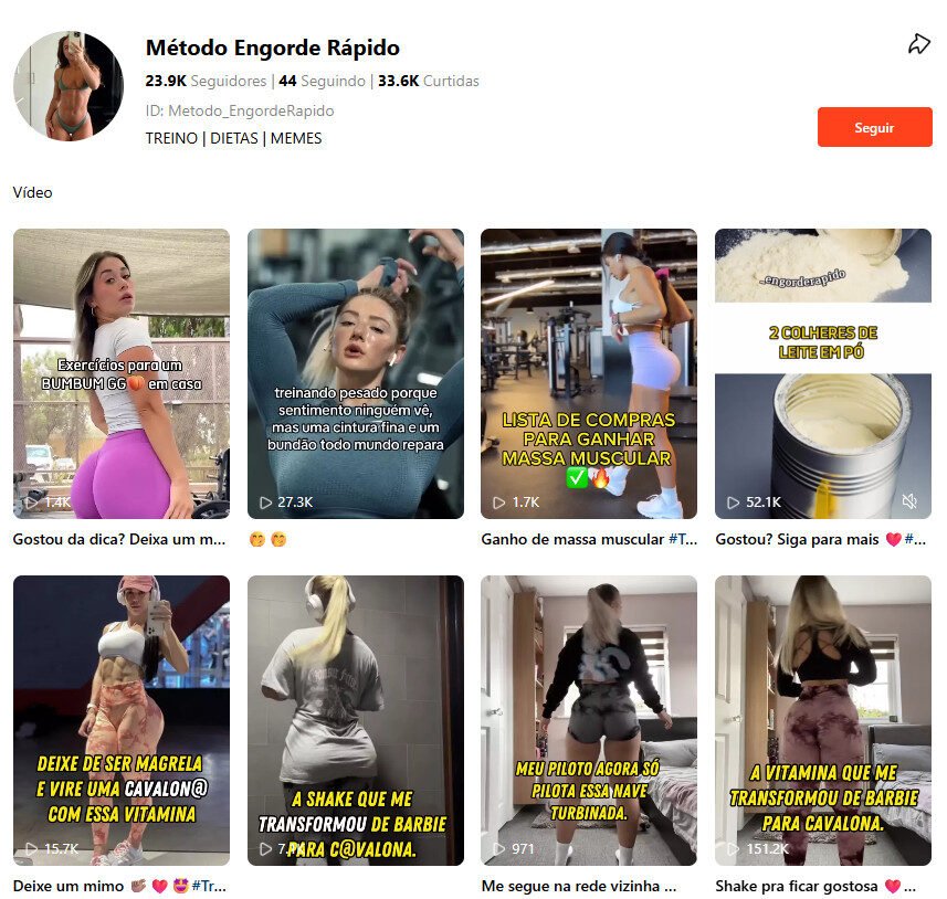 Perfil Kwai para Investimento – Método Engorde Rápido (Saúde, Fitness e Ganho de Massa) 23K de seguidores
