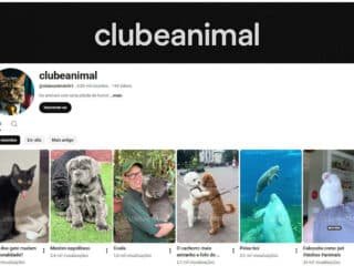 Captura-de-tela-2025-11-10-170210