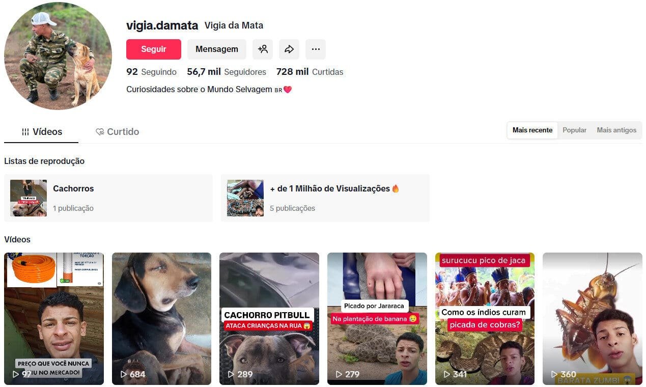 TikTok à venda – Curiosidades sobre a selva | 56 mil seguidores