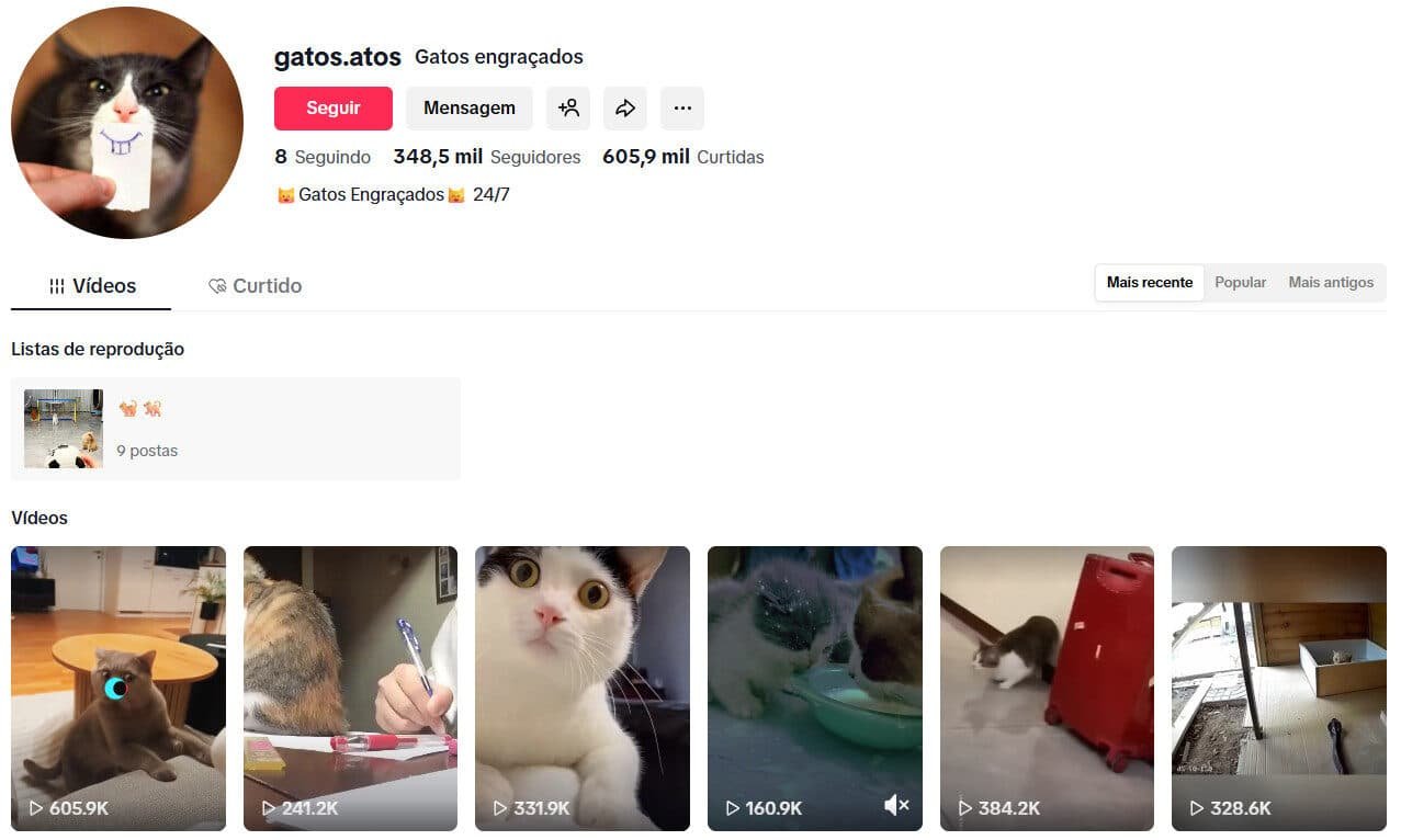 TikTok à venda – Gatos Engraçados – 348 mil seguidores