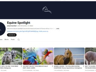 Captura-de-tela-2025-11-13-200126