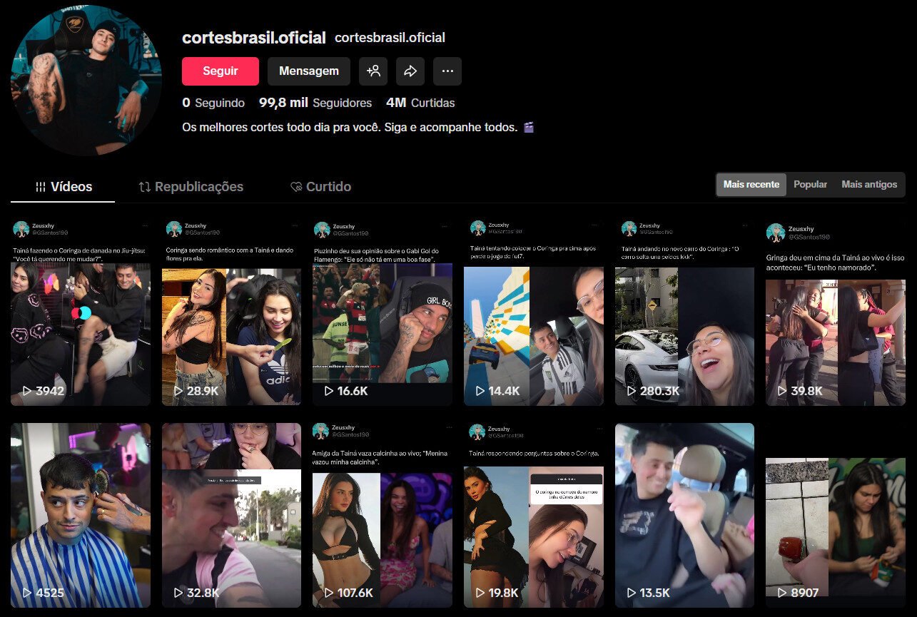TikTok à venda – Vídeos Vireais da Tainá Costa e Gamer Coringa | 99 mil seguidores