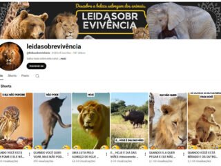 Captura-de-tela-2025-11-24-224642