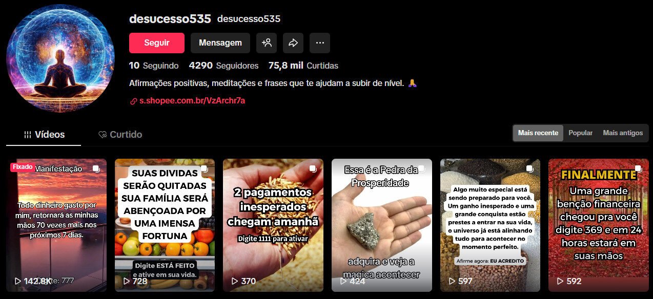 Perfil no TikTok – Manifestação/Prosperidade | 4 mil seguidores