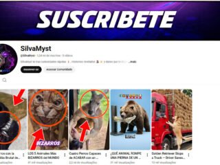 Captura-de-tela-2025-12-02-210559