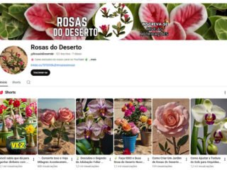 Captura-de-tela-2025-12-04-225142