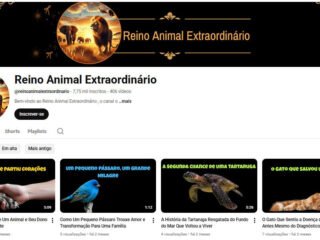 Captura-de-tela-2025-12-06-110014