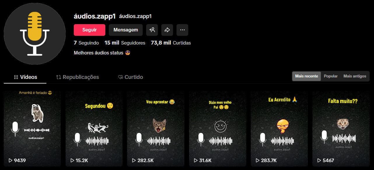 Conta no TikTok à venda – Áudios e Status para WhatsApp (15 mil seguidores)