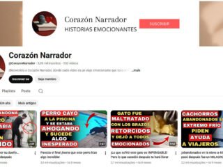 Captura-de-tela-2025-12-30-174557