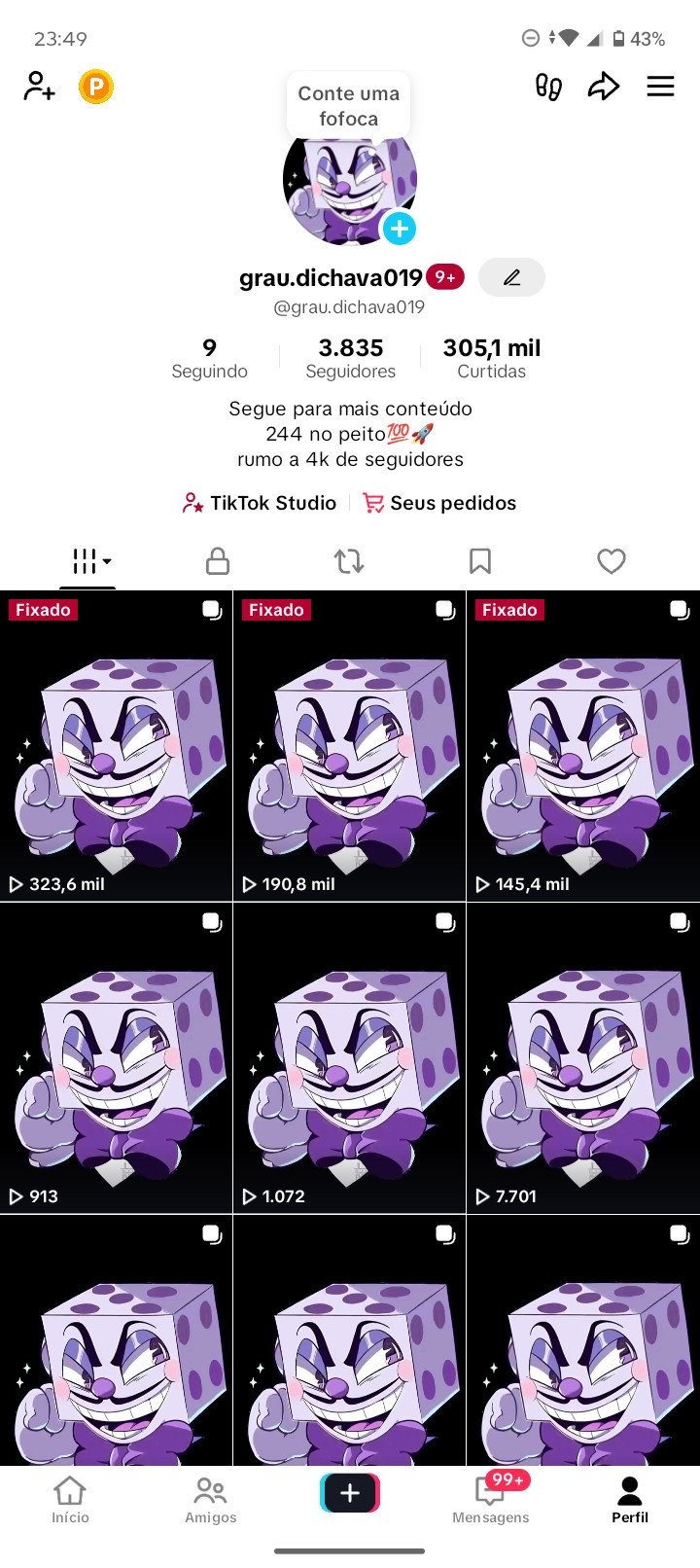 Conta Tiktok com 3835 seguidores e 305,1 mil curtidas