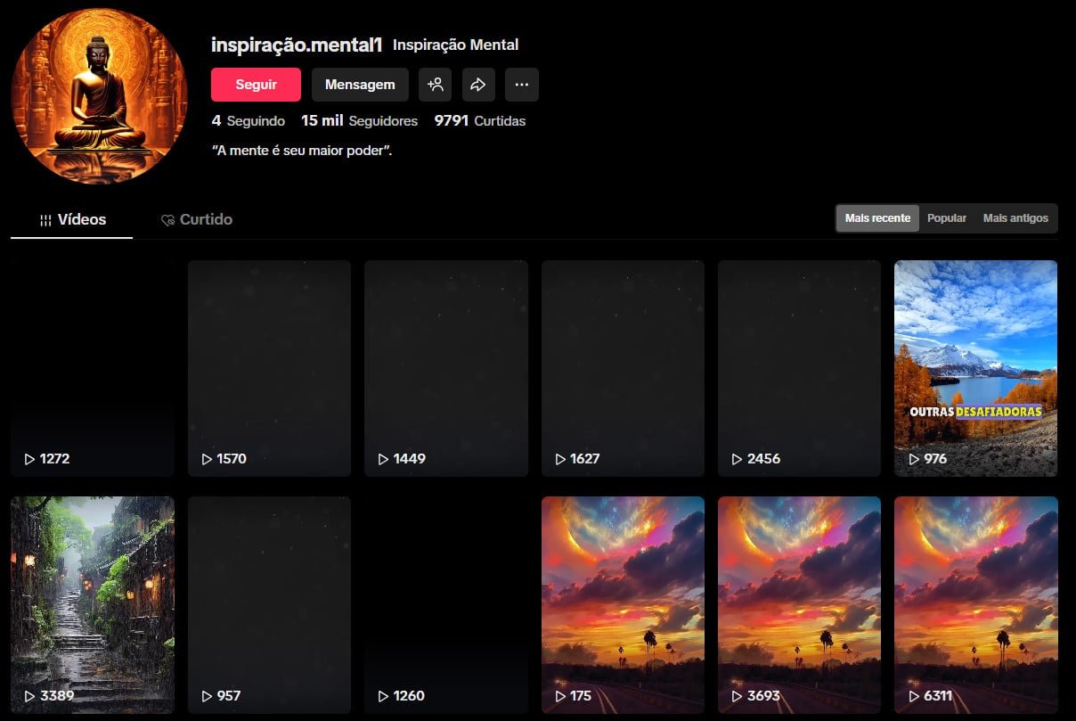 TikTok à Venda – 15 mil seguidores – Inspiração e Poder Mental