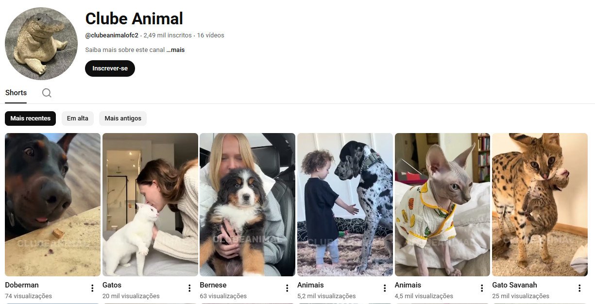 YouTube à Venda (Não Monetizado) – 2 mil inscritos – Mundo Pet e Curiosidades Animais