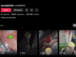 Captura-de-tela-2026-01-15-234220