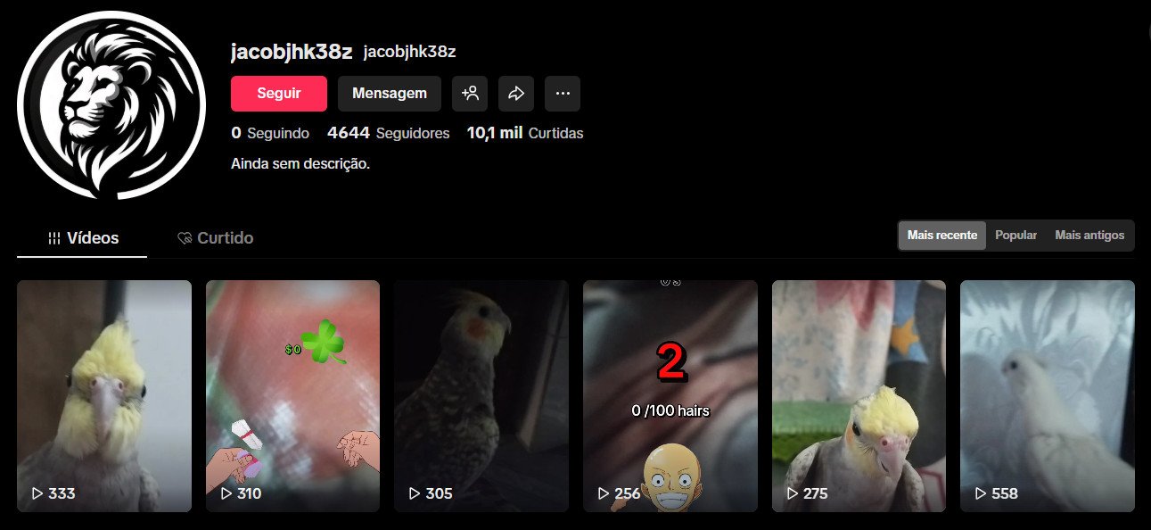 TikTok à venda – Entretenimento e Pets (Calopsitas) | 4 mil seguidores
