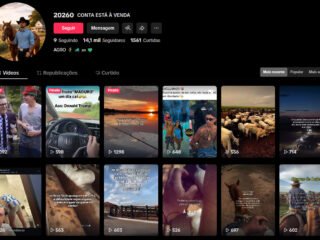 Captura-de-tela-2026-01-15-234727