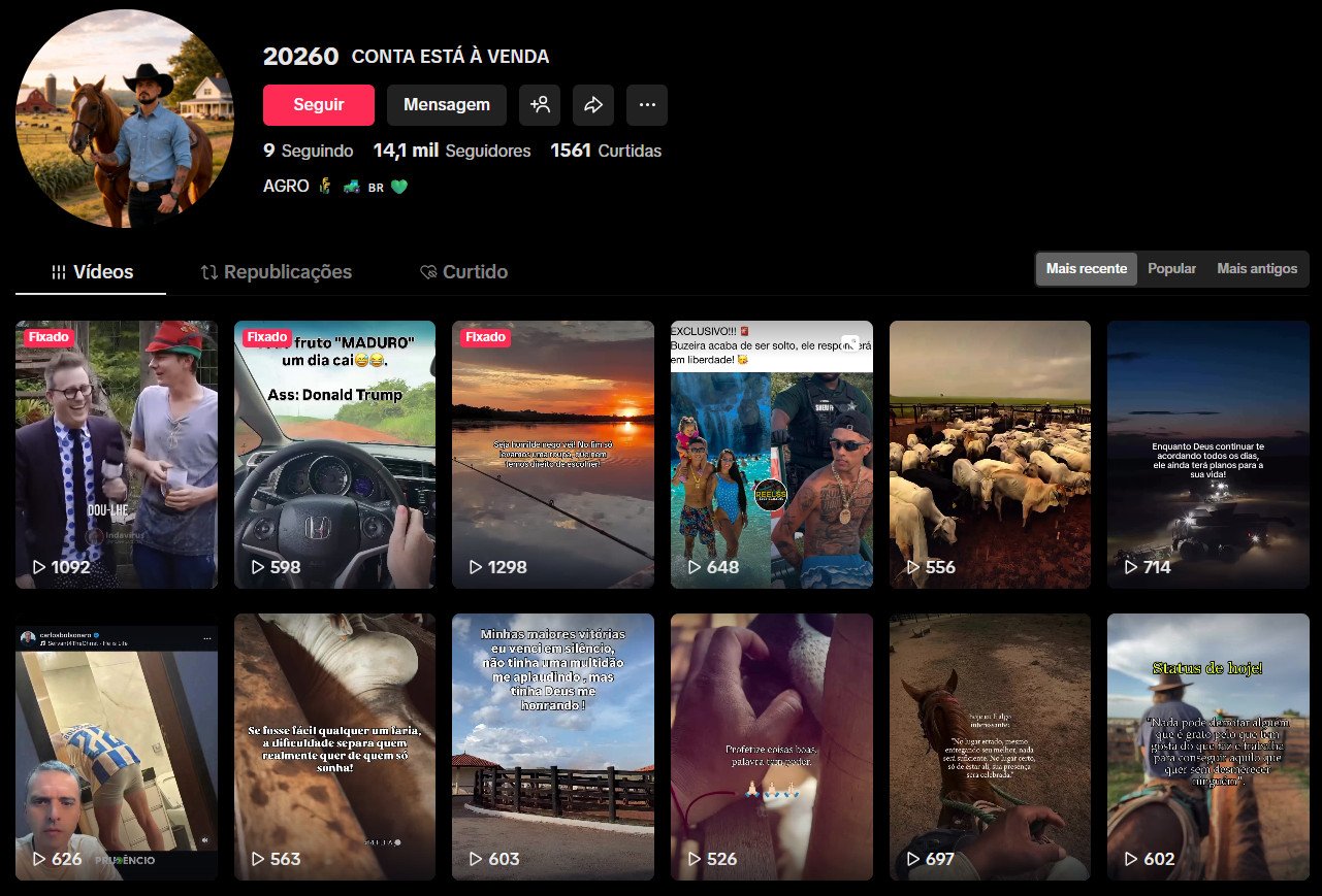 TikTok à venda – Estilo de Vida Agro e Motivação | 14 mil seguidores