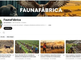 Captura-de-tela-2026-02-14-114517