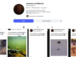 Captura-de-tela-2026-02-19-210054