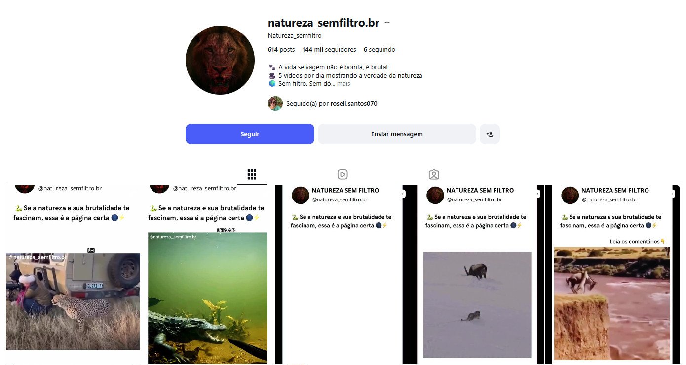 Perfil no Instagram à venda – Vida Selvagem (144 mil seguidores)