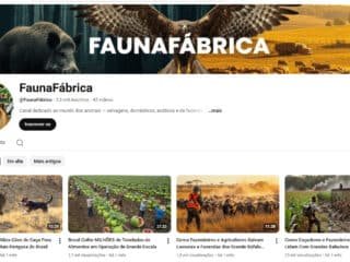 Captura-de-tela-2026-03-17-123928