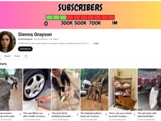 Captura-de-tela-2026-03-17-125201