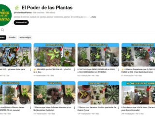 Captura-de-tela-2026-04-05-101748