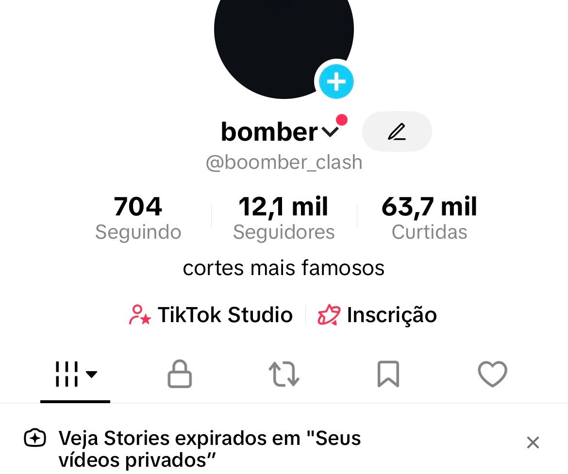 CONTA TIKTOK 12 mil seguidores