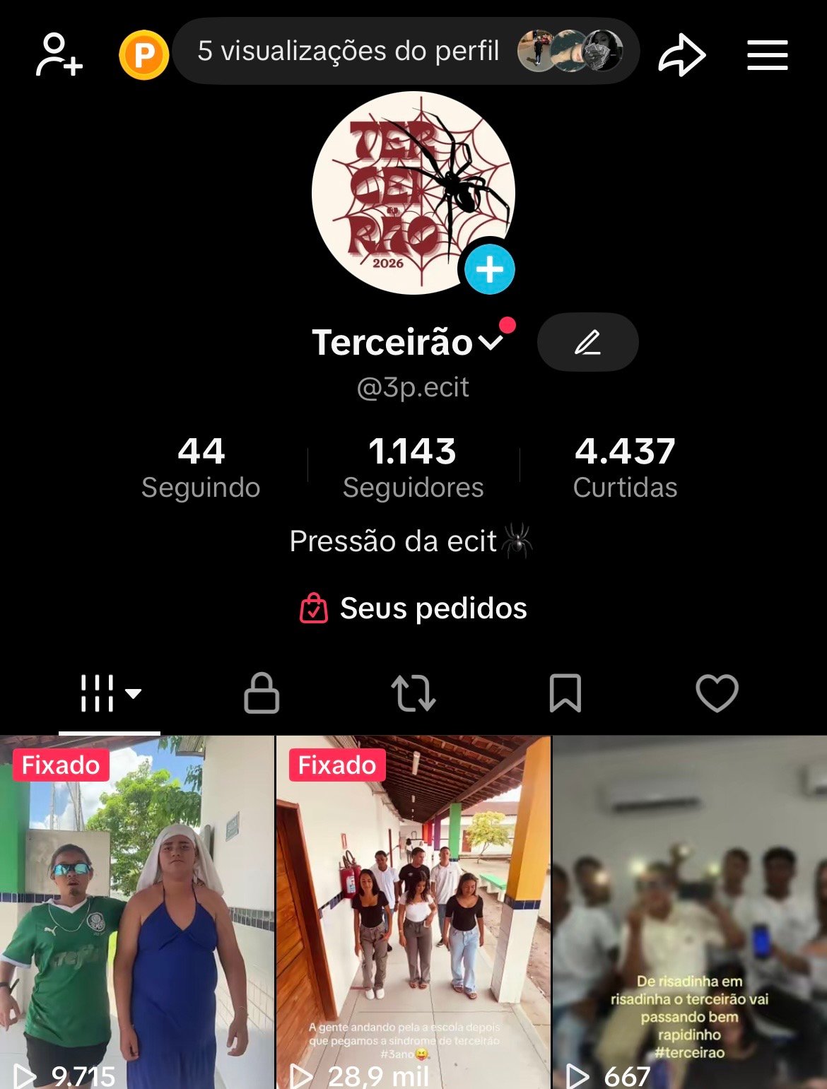 Divulgação no tik tok