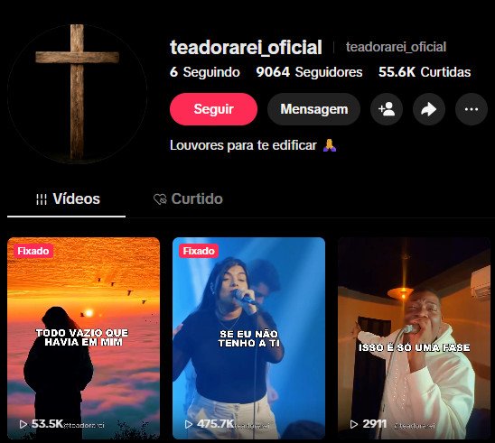 TIKTOK 9 MIL SEGUIDORES (TIKTOKSHOP LIBERADO)