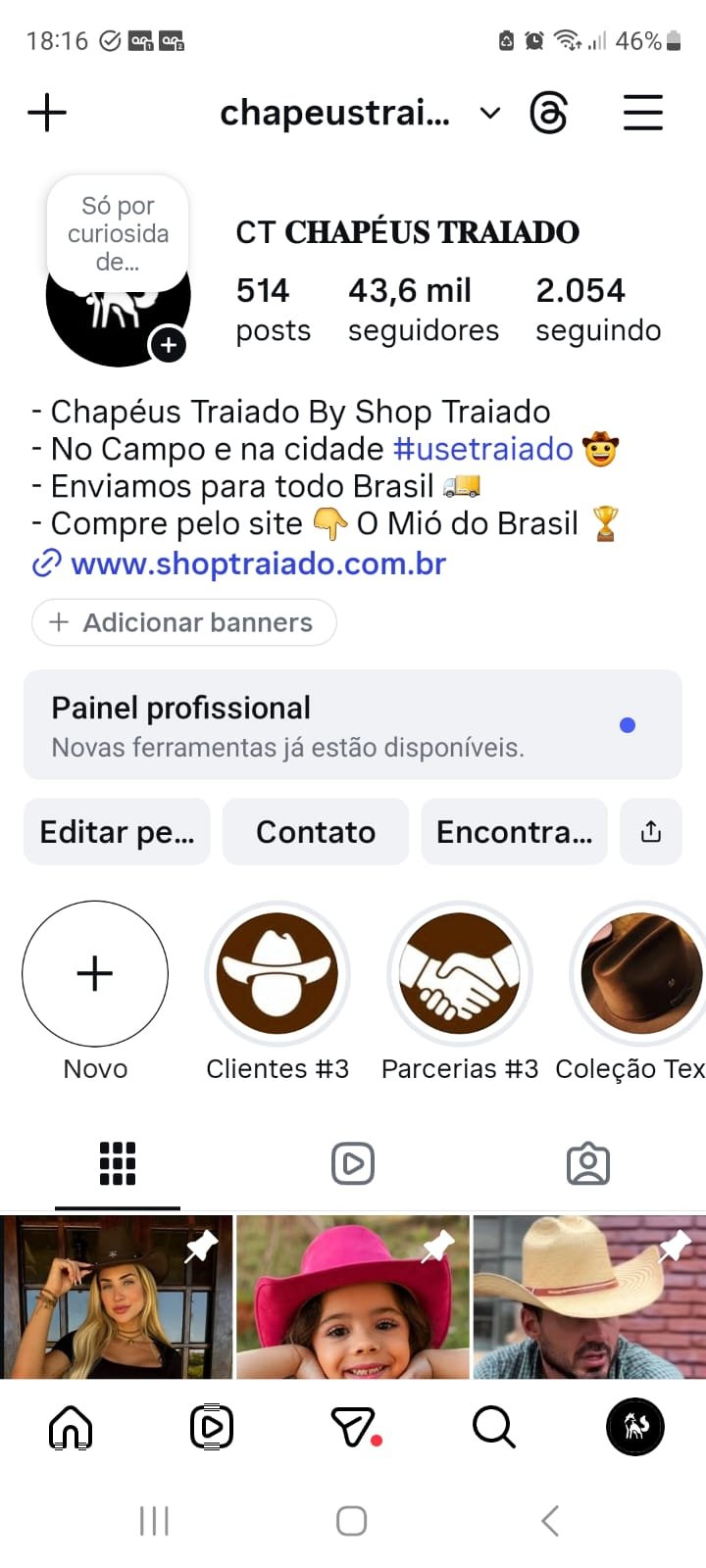Conta instagram confiavel antiga 43 mil seguidores organicos inclusive famosos como Ana Castela