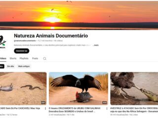 Captura-de-tela-2026-06-05-000028