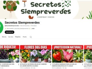 Captura-de-tela-2026-06-05-000910