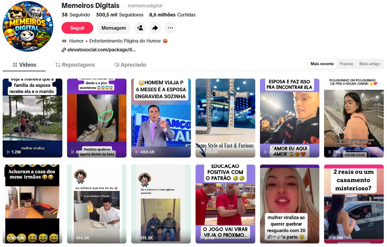 Conta no TikTok à venda – Memeiros Digitais (Humor, Entretenimento e Virais) | 300 mil seguidores